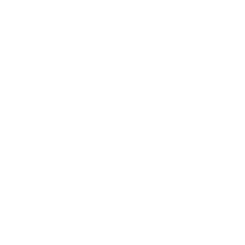 National Council of Negro Women Logo